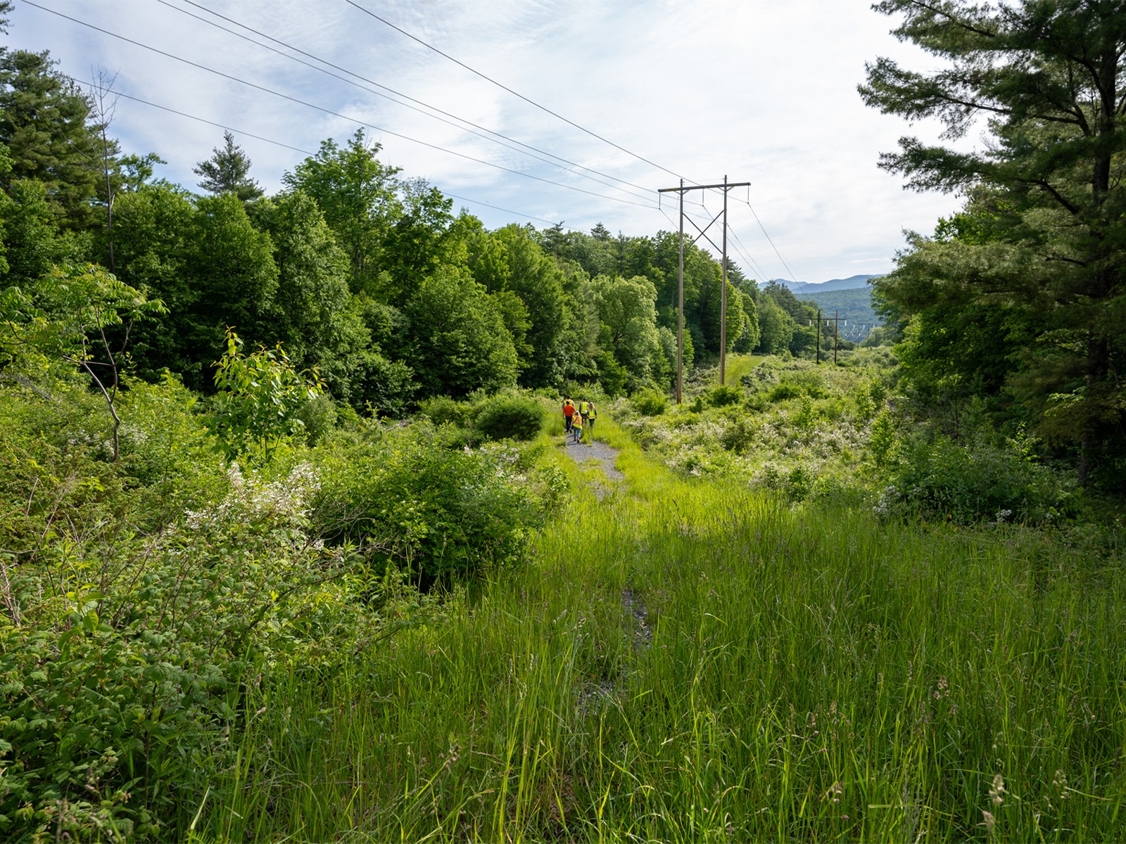 Walking under transmission lines